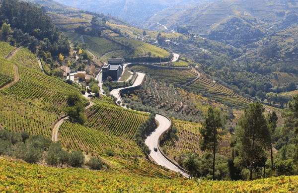 N2 Portugal, de Norte a Sur (8 días y 7 noches) - Imagen 4